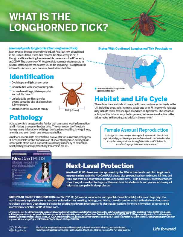 NGP Longhorned Tick One Pager