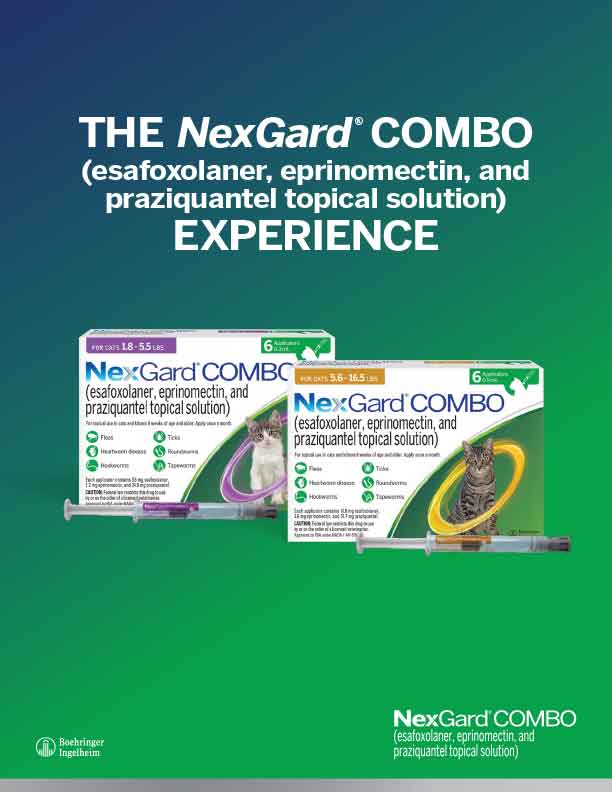 NGCC Application Experience Detailer