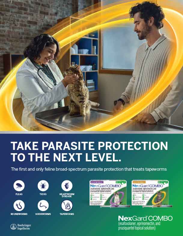 NNGCC Technical detailer