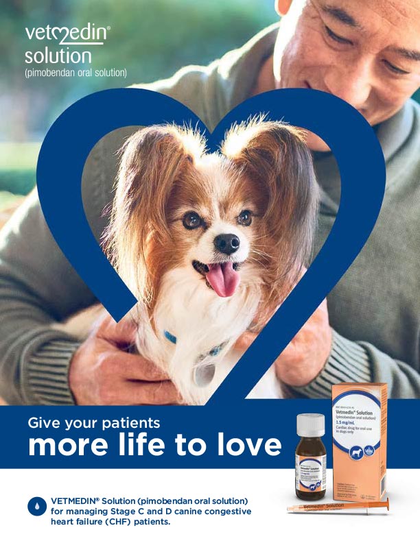 Vetmedin Solution Vet Detailer