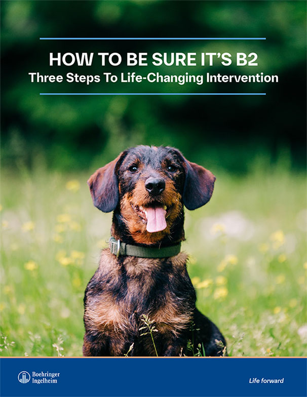 Diagnosing B2 Detailer