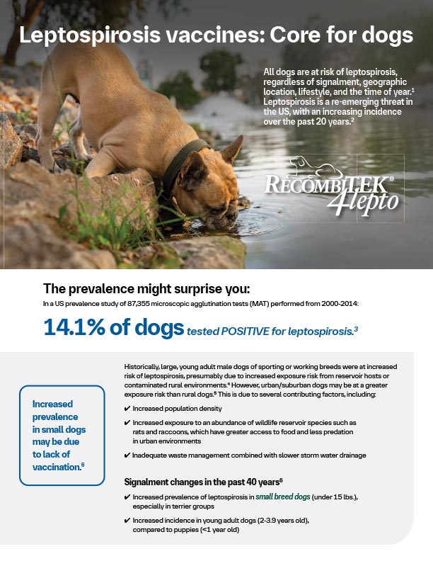 Recombitek Lepto Technical Bulletin