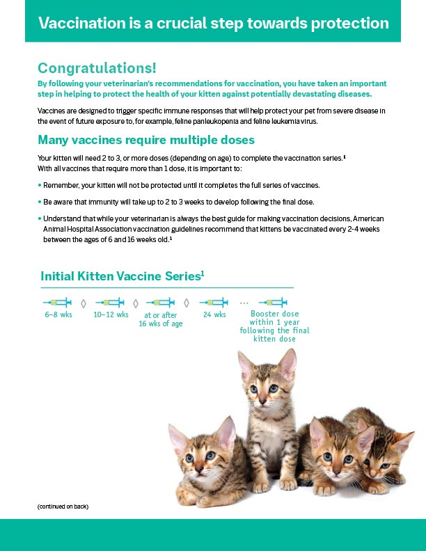 PUREVAX Kitten 'What to Expect' Tear Pad